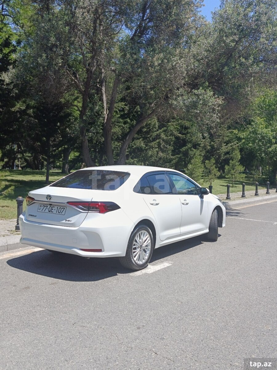 Toyota Corolla, 2024 il (7)