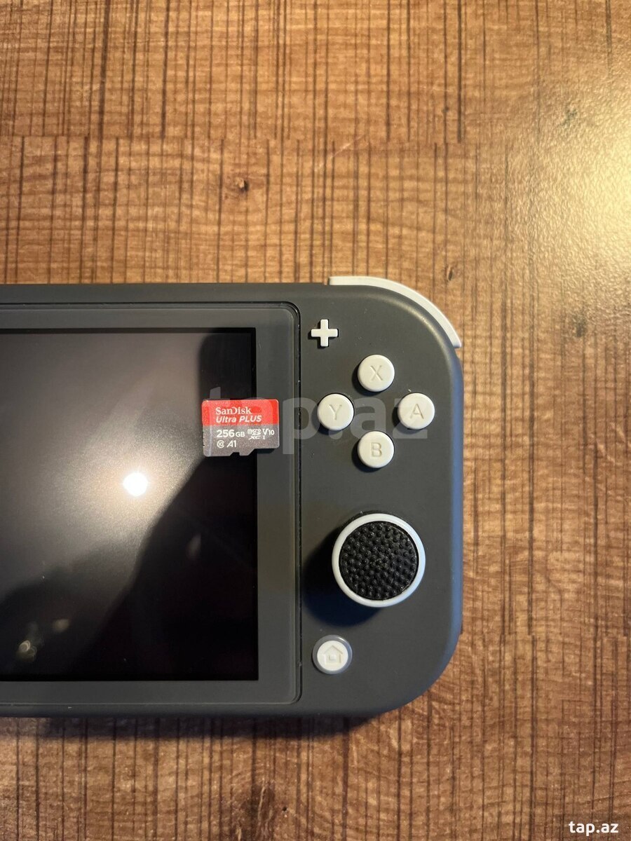 Nintendo Switch Lite 258GB (6)