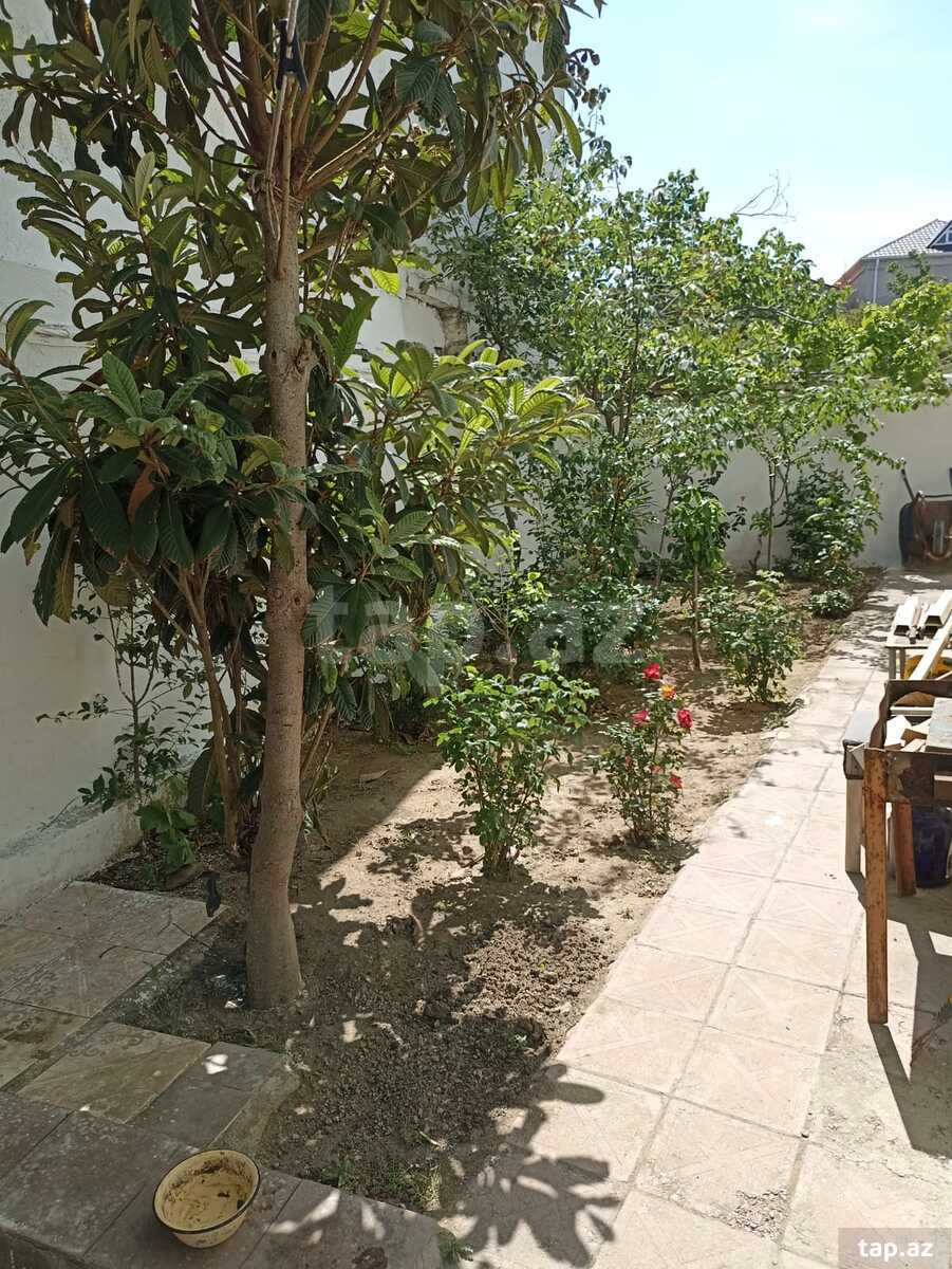 Həyət evi, Sulutəpə qəs. (25)