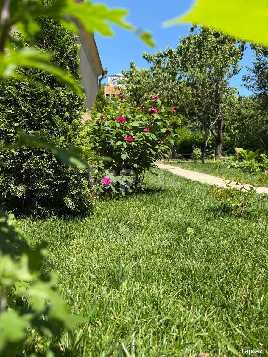 Həyət evi kirayə verilir, Qusar r. (22)
