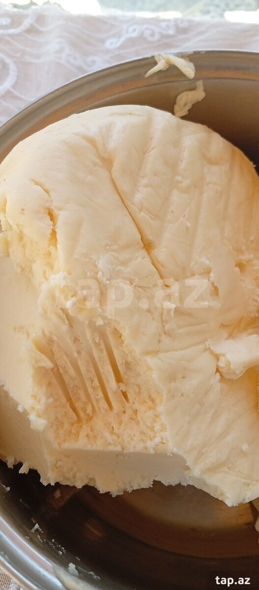 Süd məhsulları