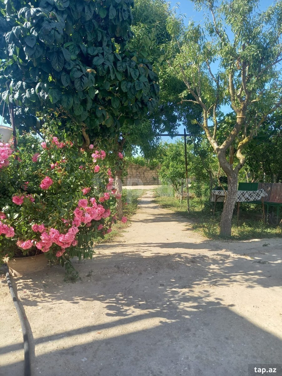 Həyət evi, Buzovna qəs. (17)