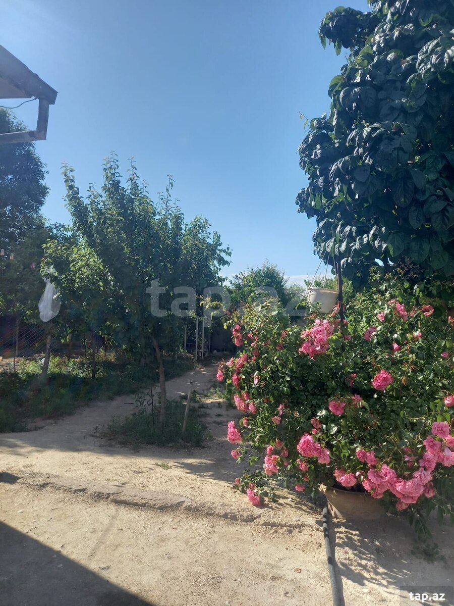 Həyət evi, Buzovna qəs. (18)