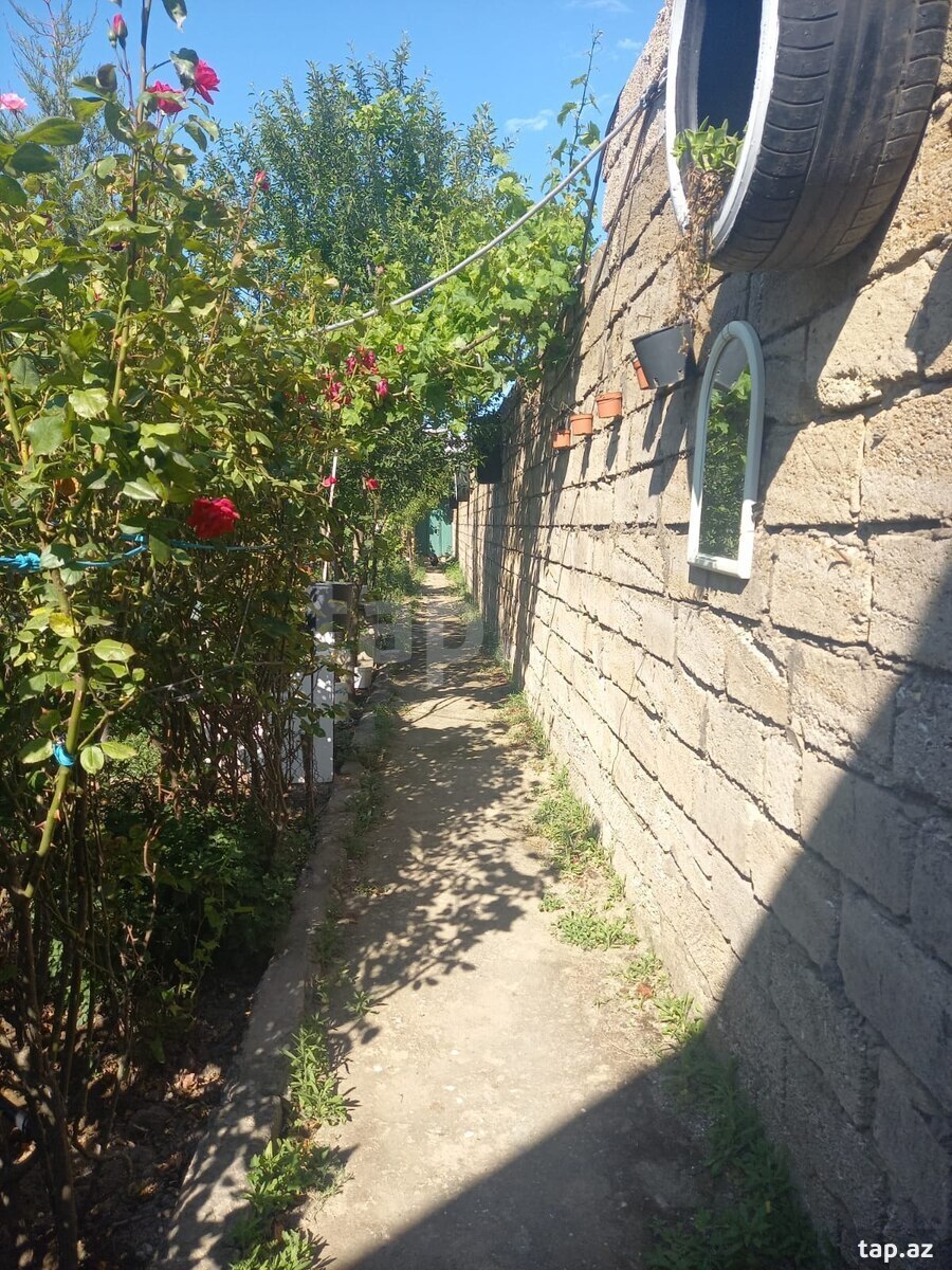 Həyət evi, Buzovna qəs. (20)