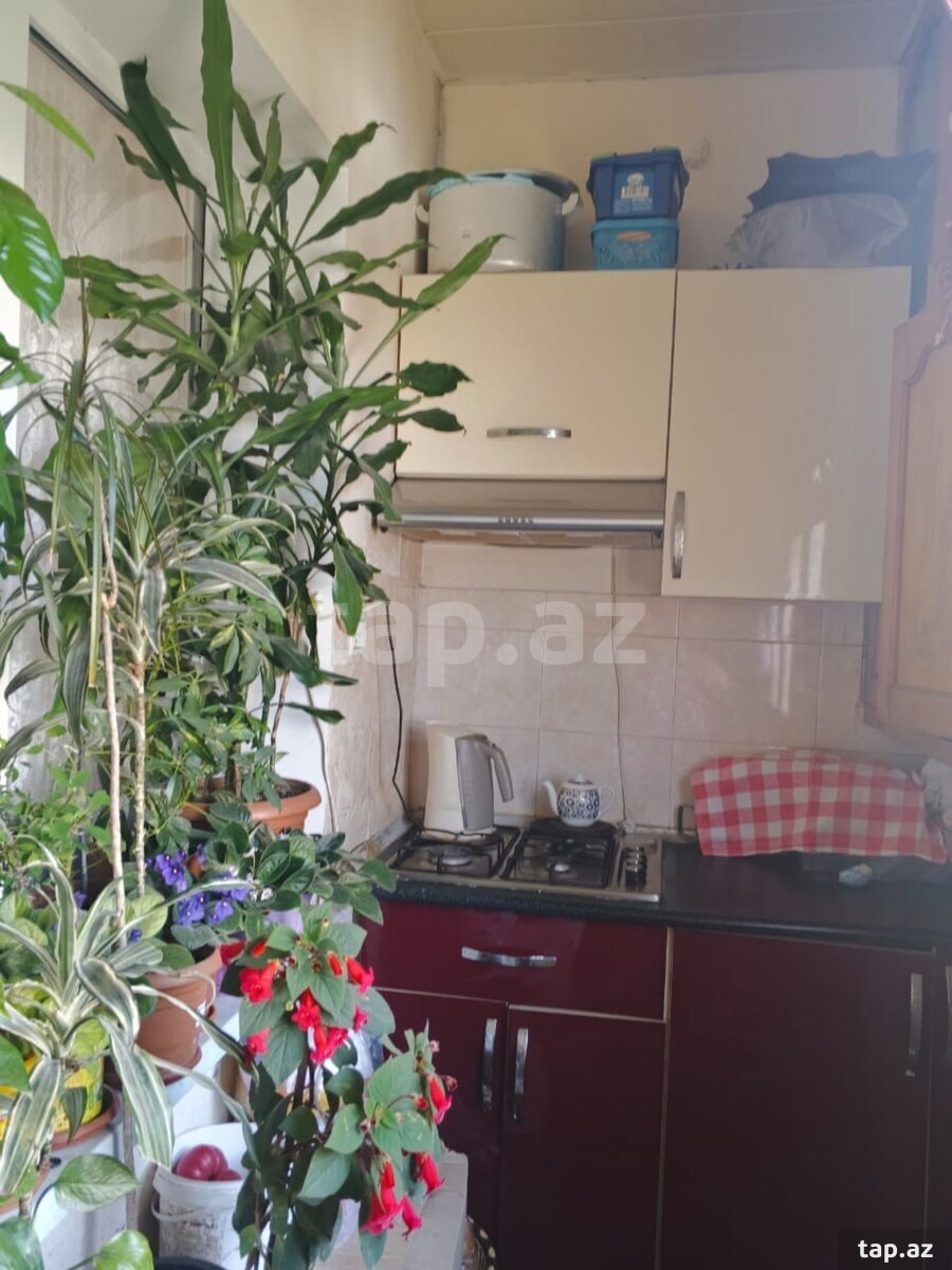 1-otaqlı mənzil, H.Aslanov m., 30 m² (11)