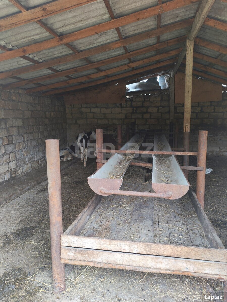 Obyekt, Quba r. (7)