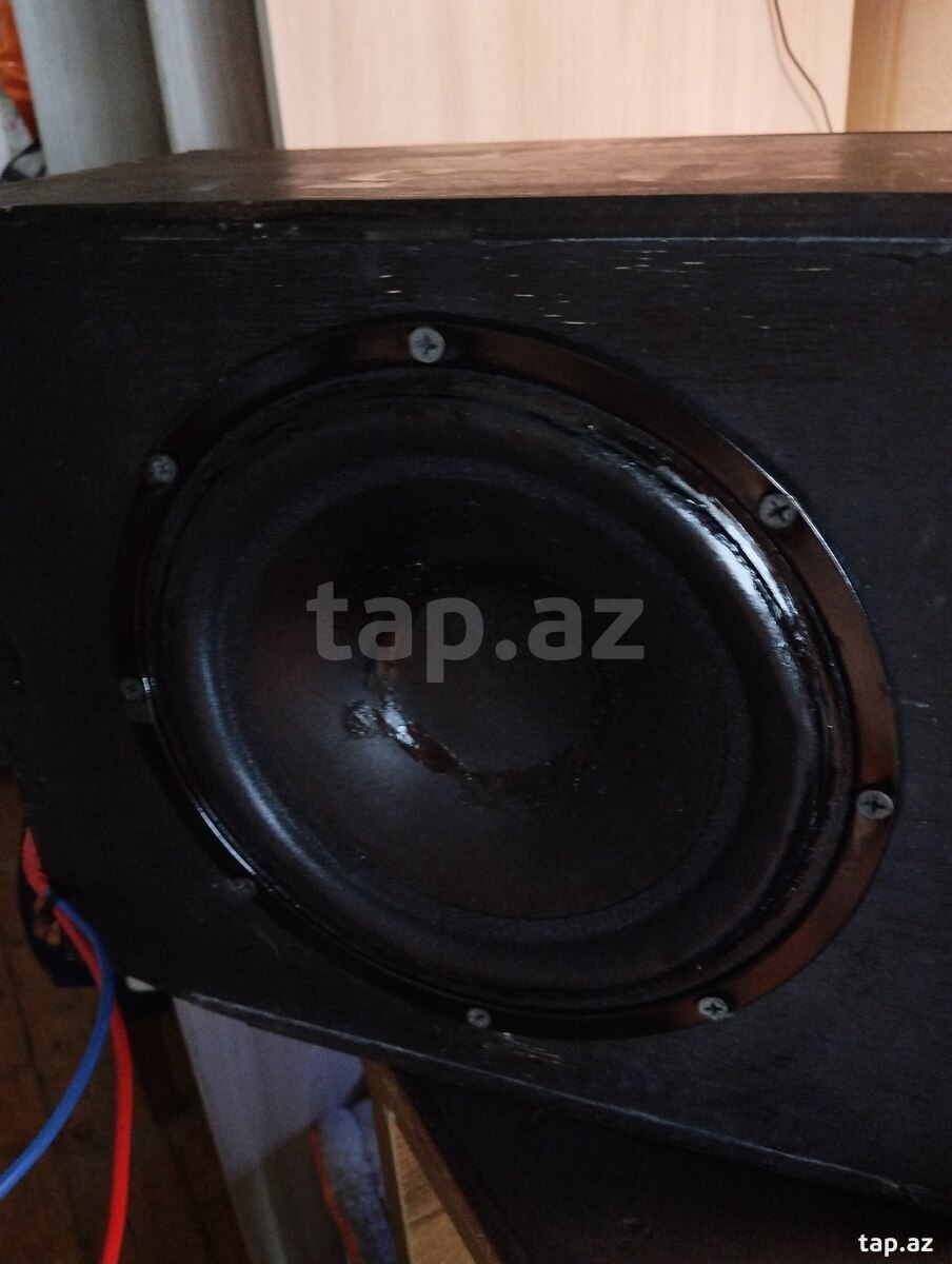 Dinamiklər 50watt  (2)