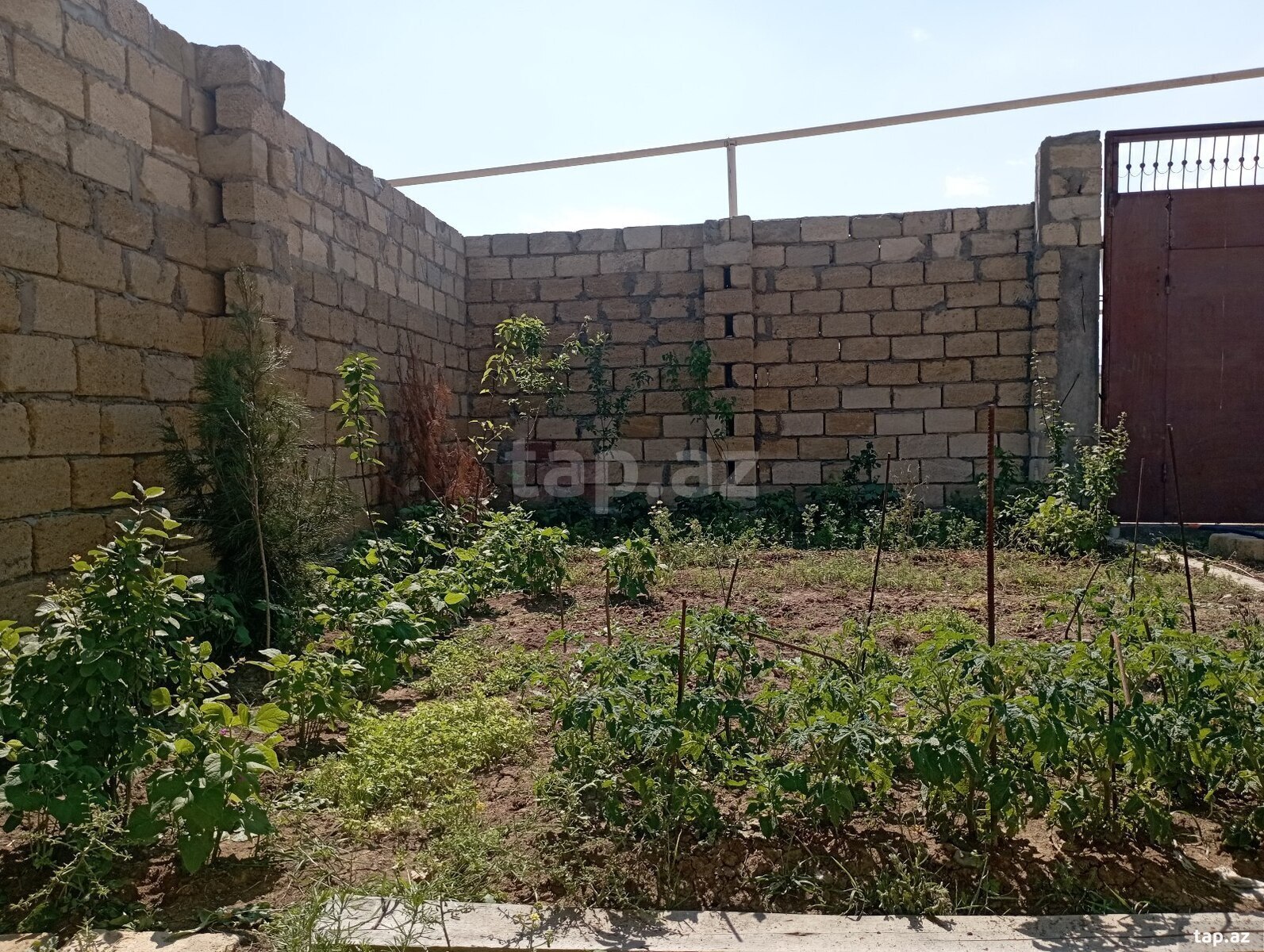 Həyət evi, Qobu qəs. (4)
