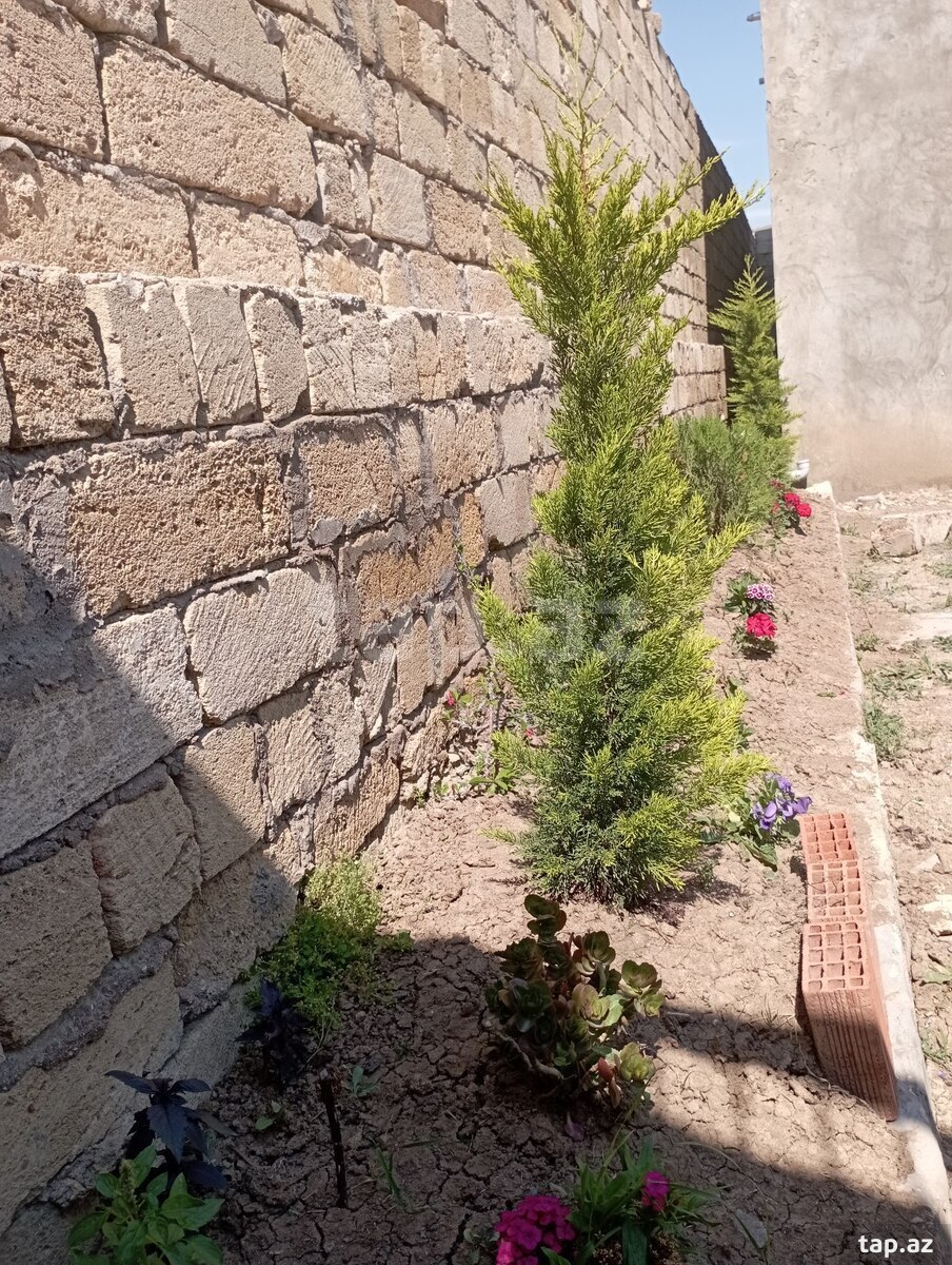 Həyət evi, Qobu qəs. (7)