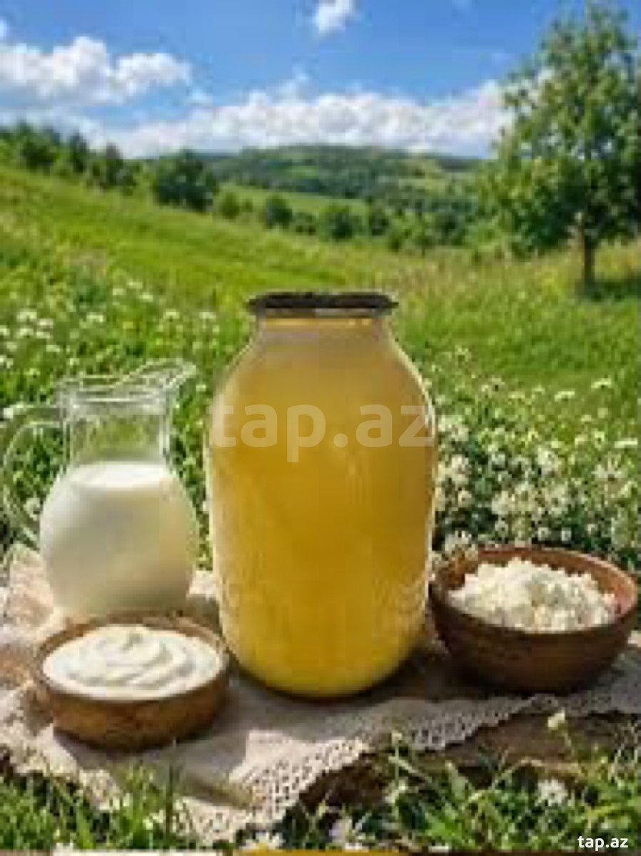 Süd məhsullarl