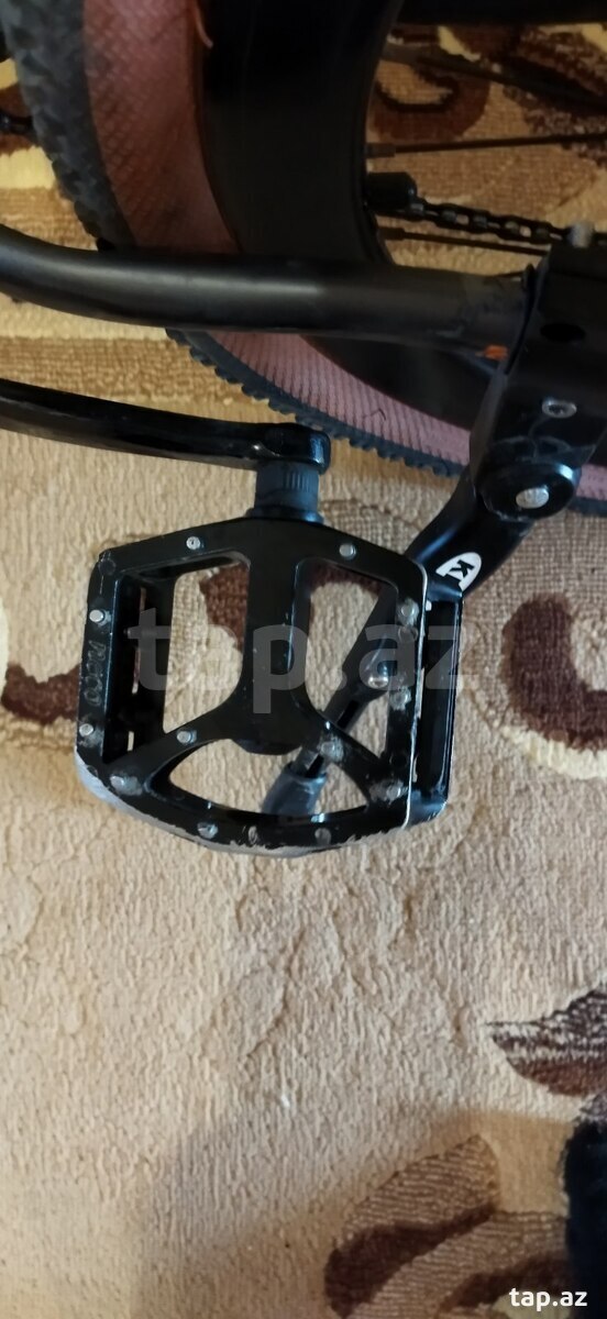 Velosiped (4)