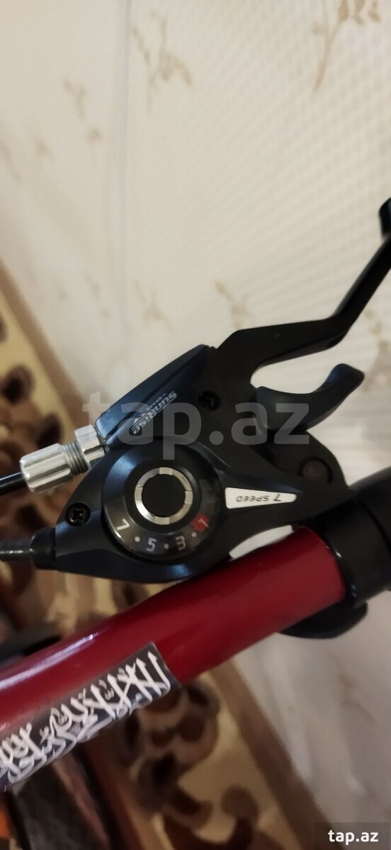 Velosiped (5)