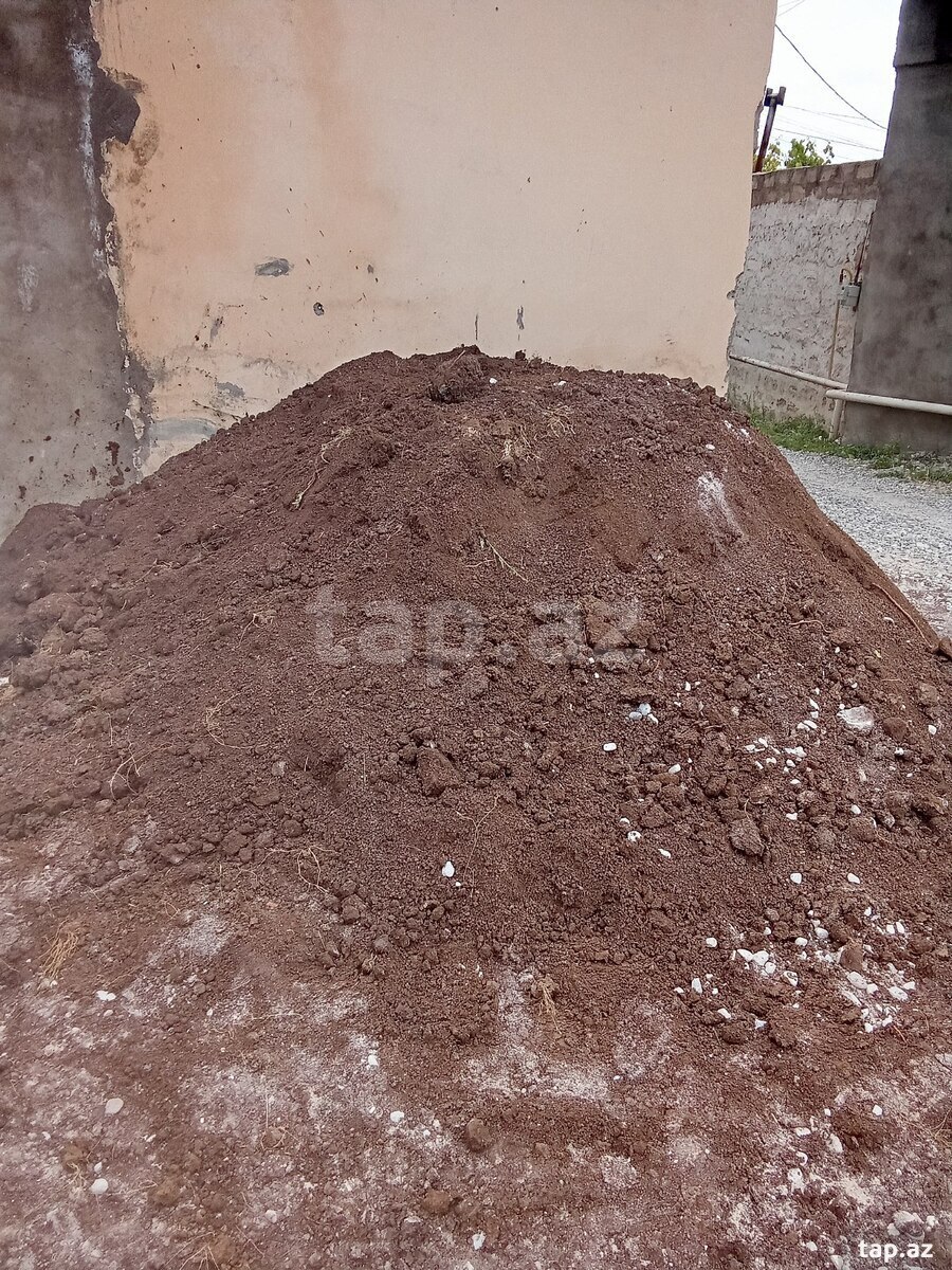 Meşə torpağı (3)
