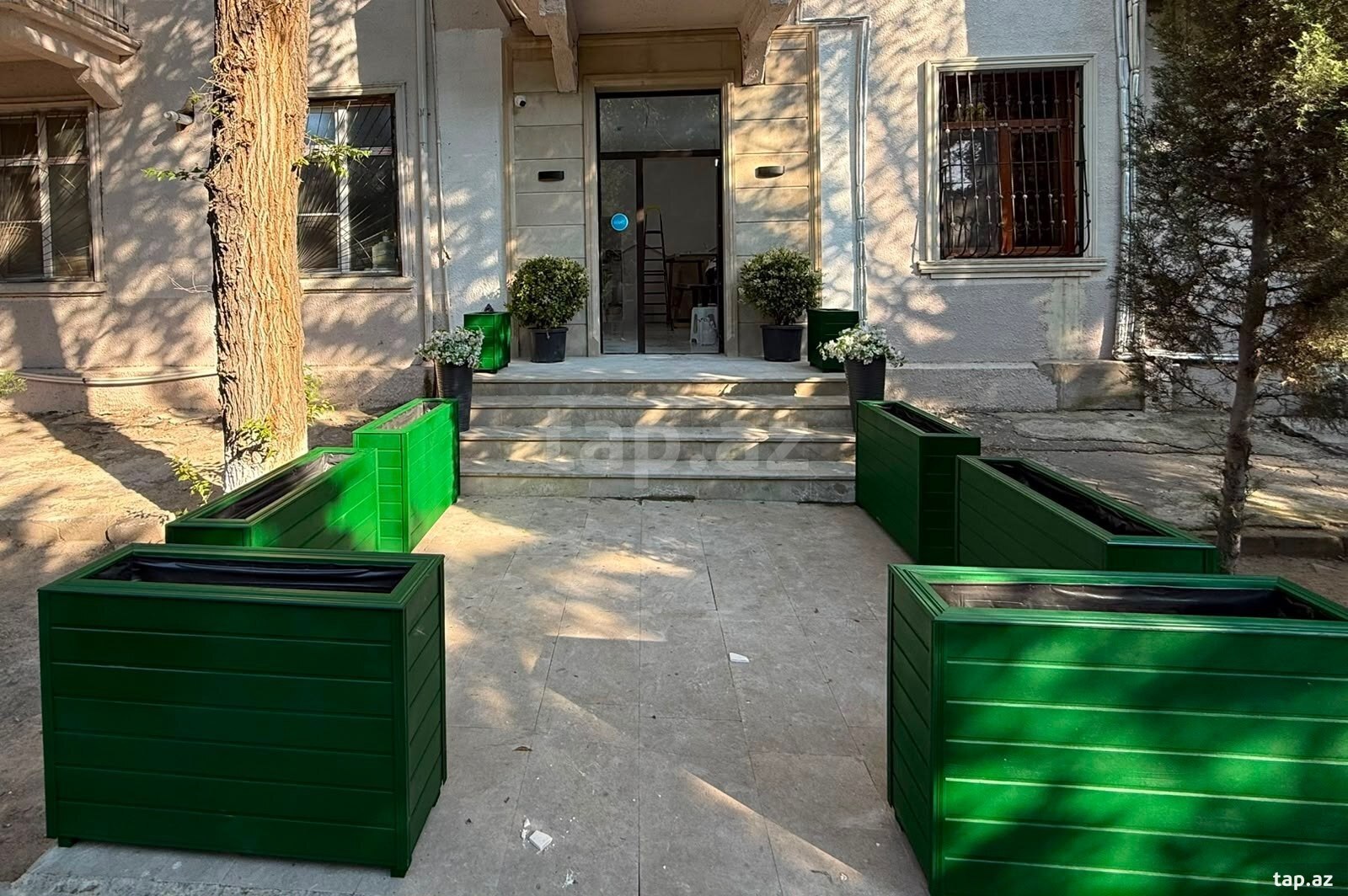 Taxta dibçək