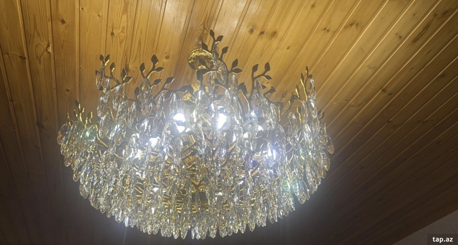 Çilçıraq