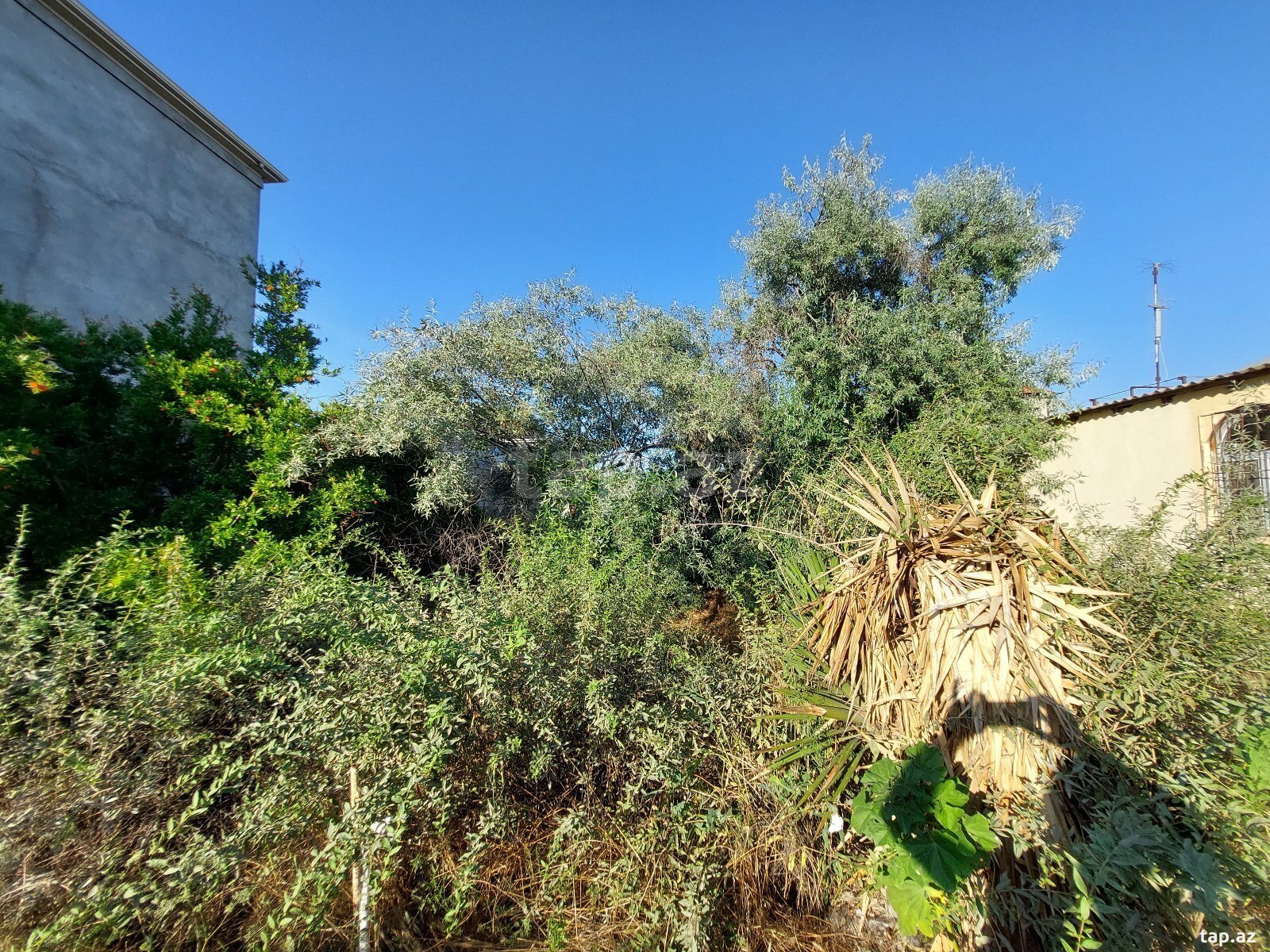 Həyət evi, Hövsan qəs. (8)