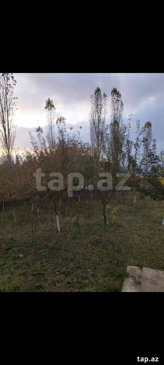 Həyət evi, Şamaxı r. (10)