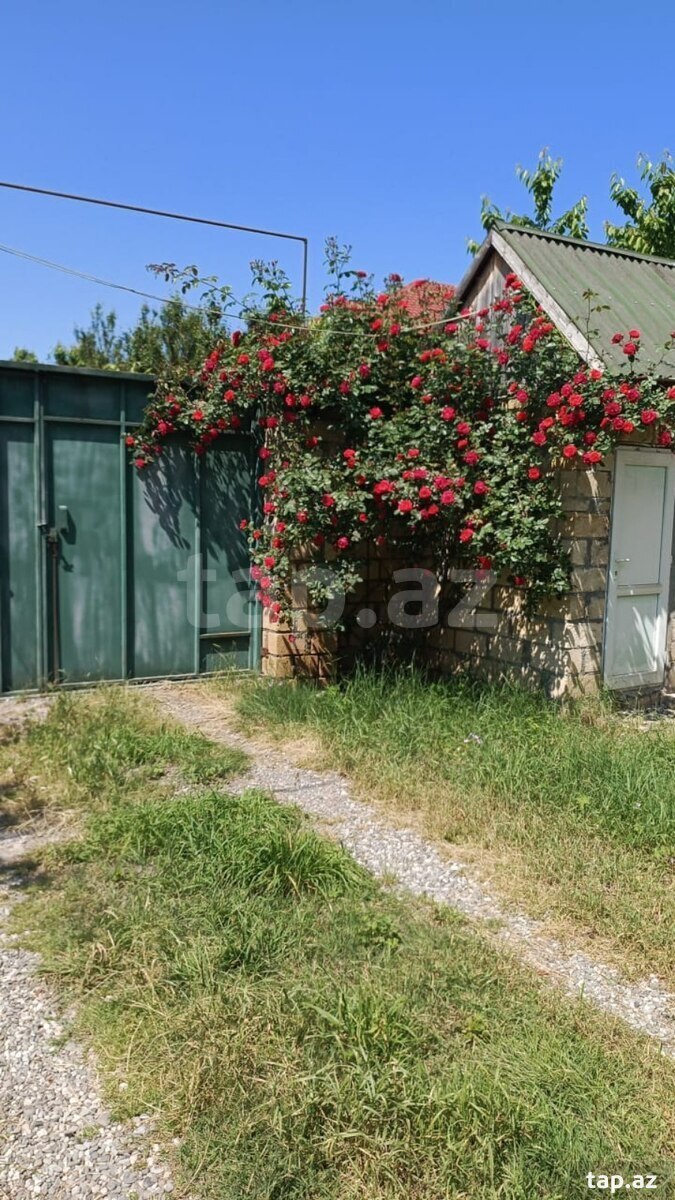 Bağ evi kirayə verilir, Quba ş. (9)