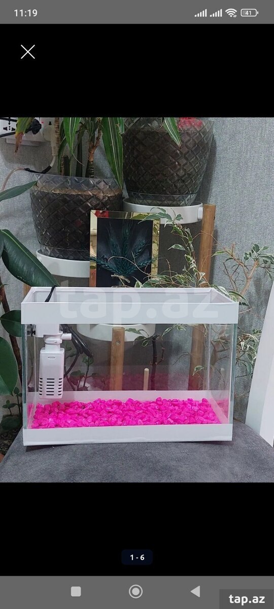 Akvarium (3)