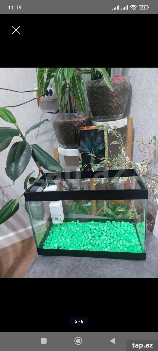 Akvarium (5)