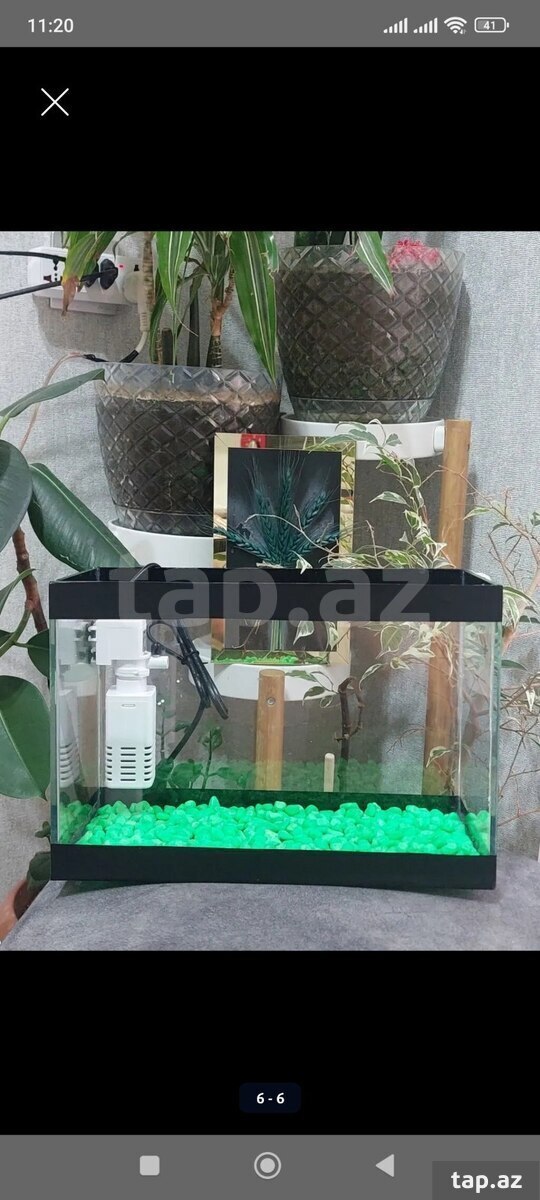 Akvarium (6)