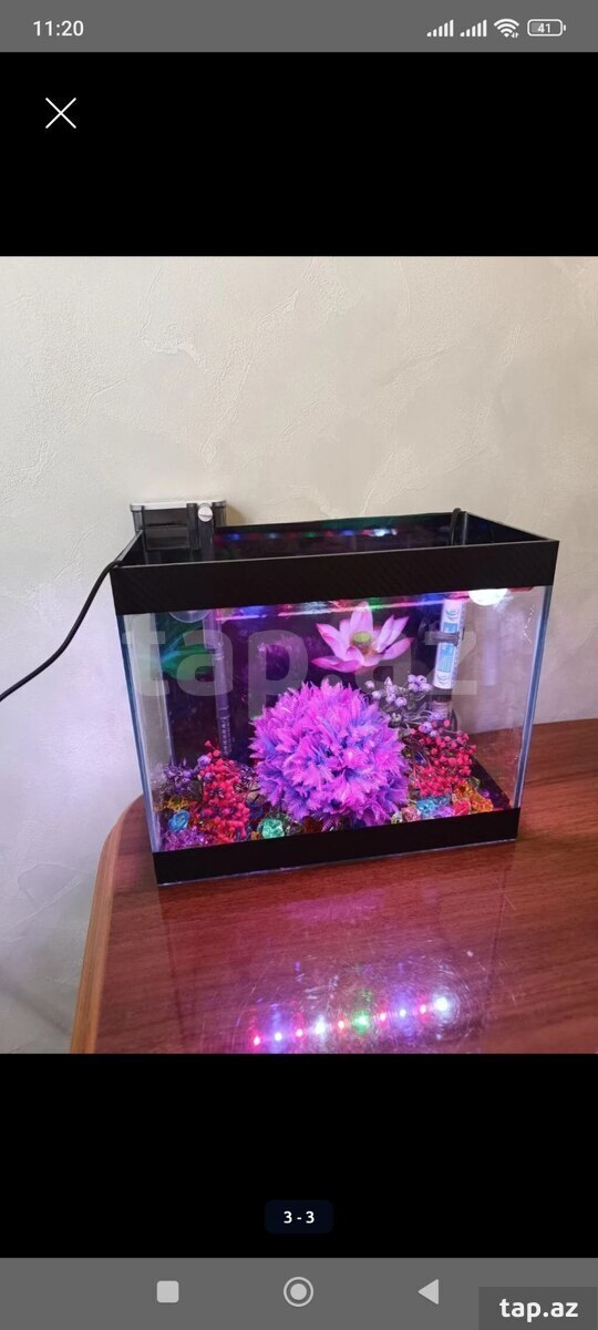 Akvarium (9)