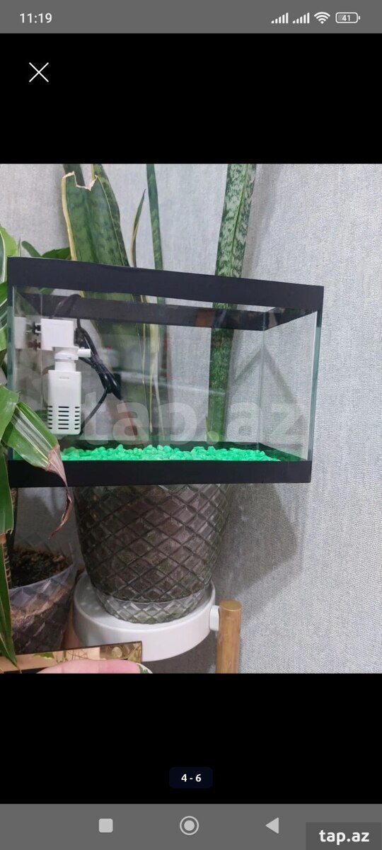 Akvarium (4)