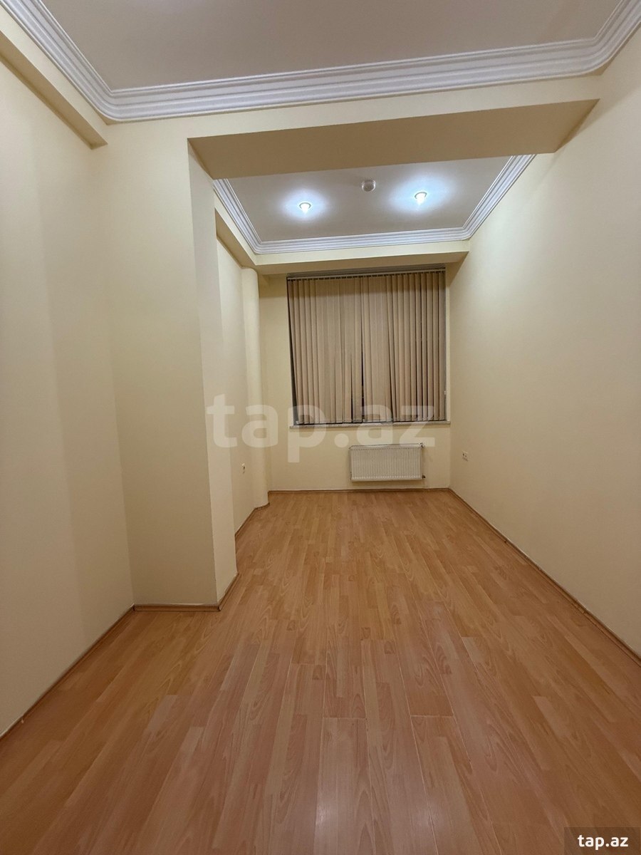 Ofis icarəyə verilir, Gənclik m. (11)