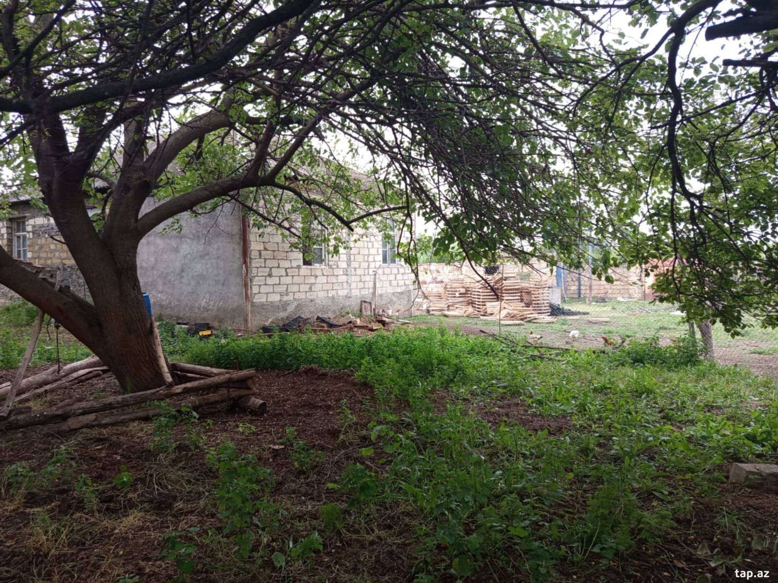 Həyət evi, Goranboy r. (5)