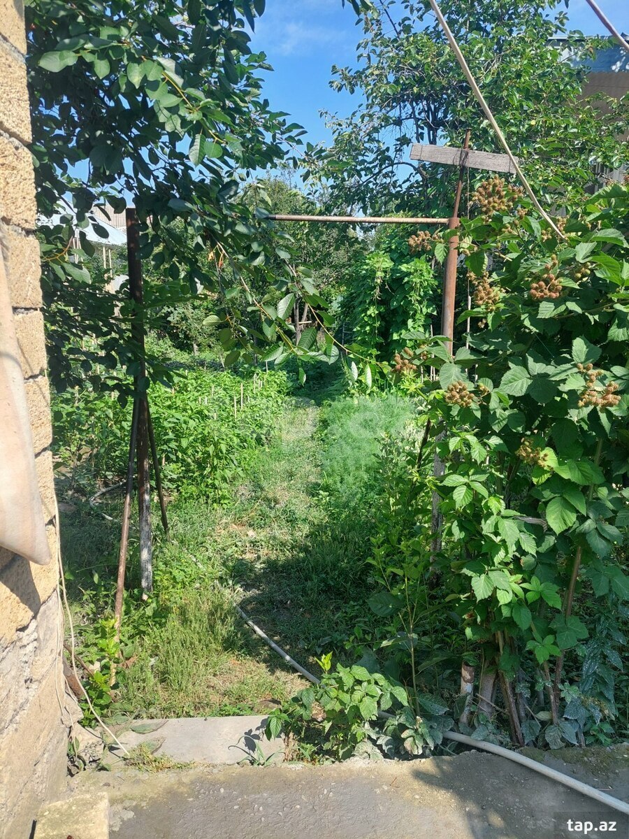 Həyət evi, Göyçay r.