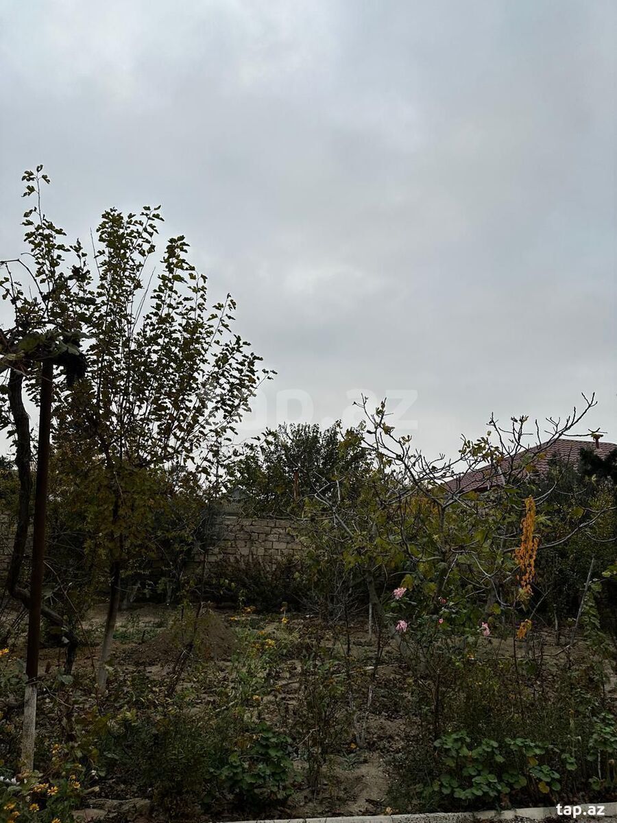 Həyət evi, Hövsan qəs. (5)