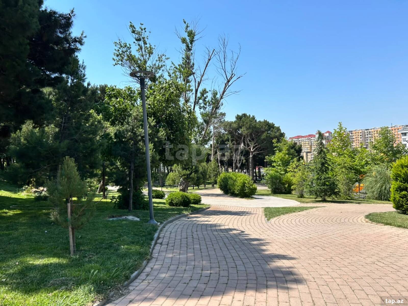 4-otaqlı mənzil, Əhmədli m., 85 m² (21)