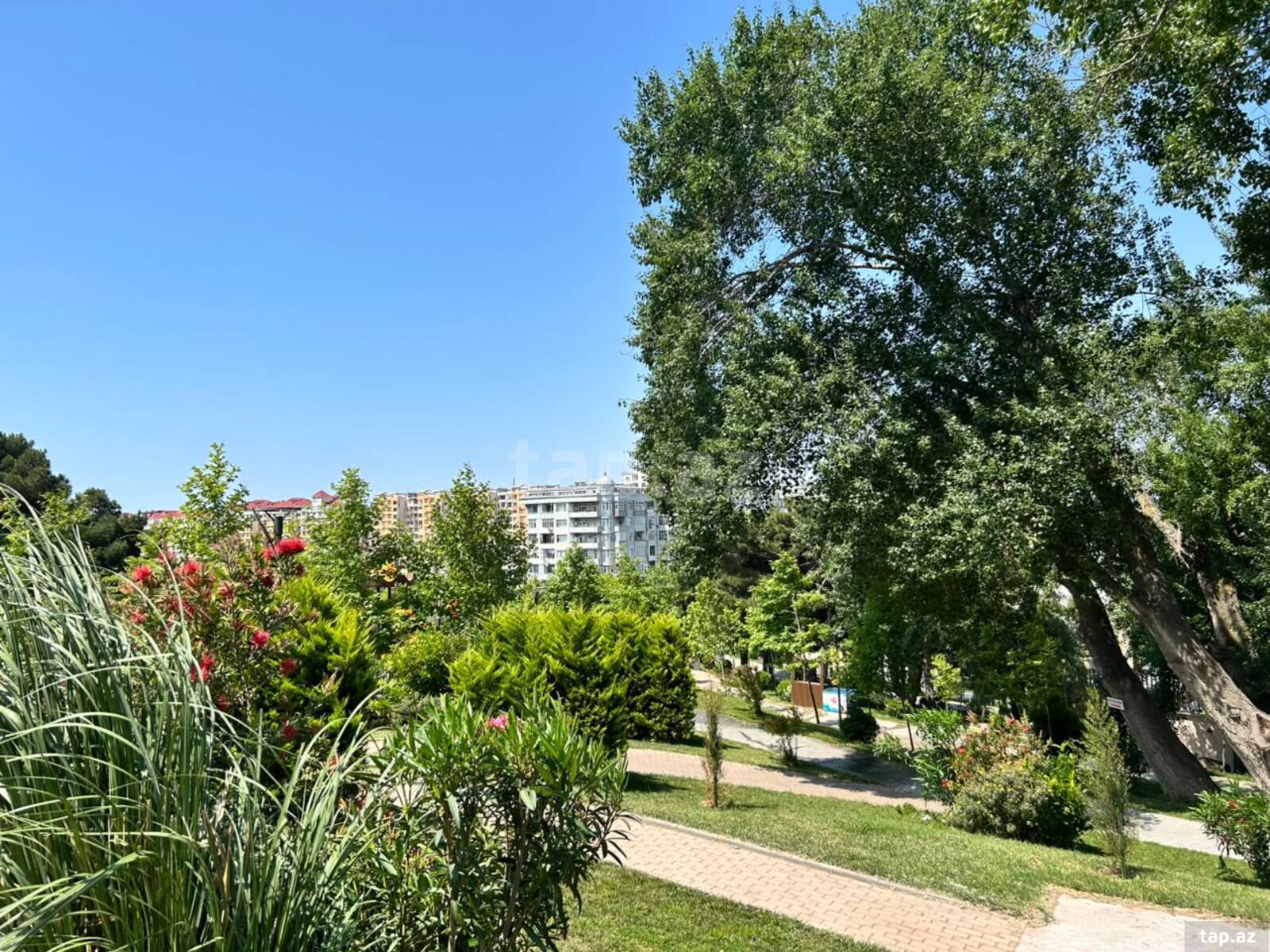 4-otaqlı mənzil, Əhmədli m., 85 m² (22)