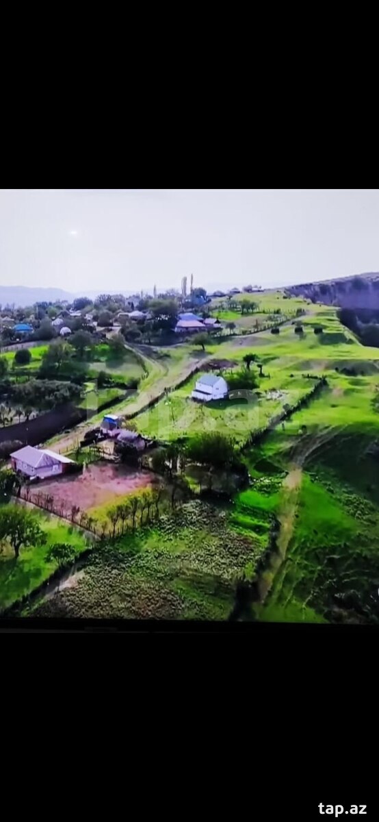 Land for sale, Ismayilli, Ismayilli