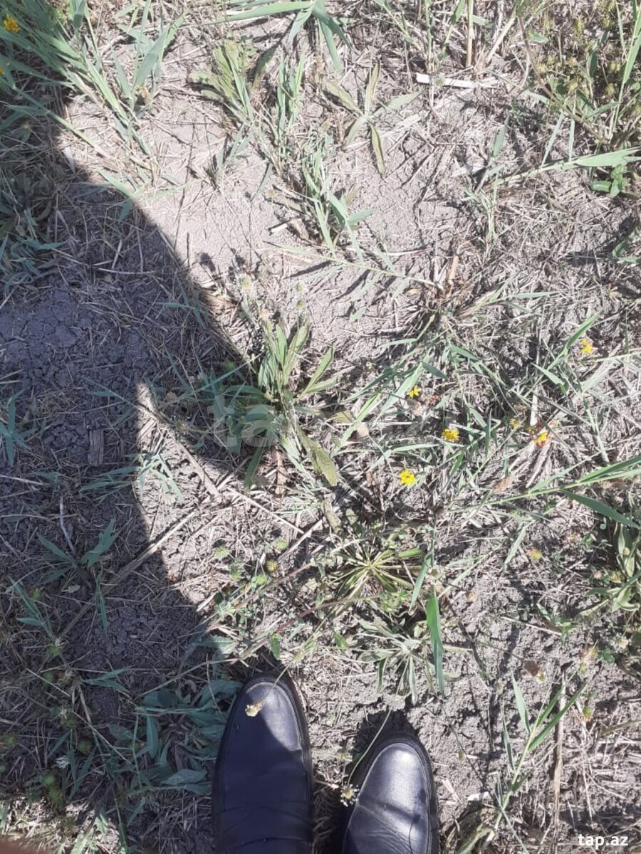 22 sot torpaq sahəsi, Füzuli r.