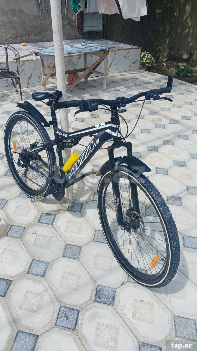 Velosiped 29