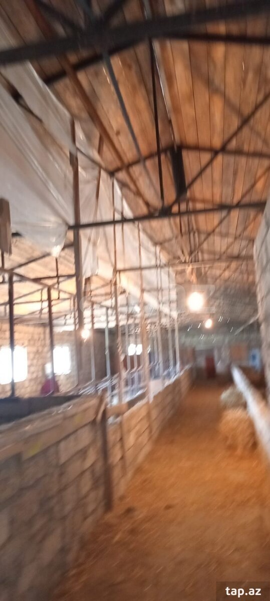 Obyekt, Maştağa qəs. (13)