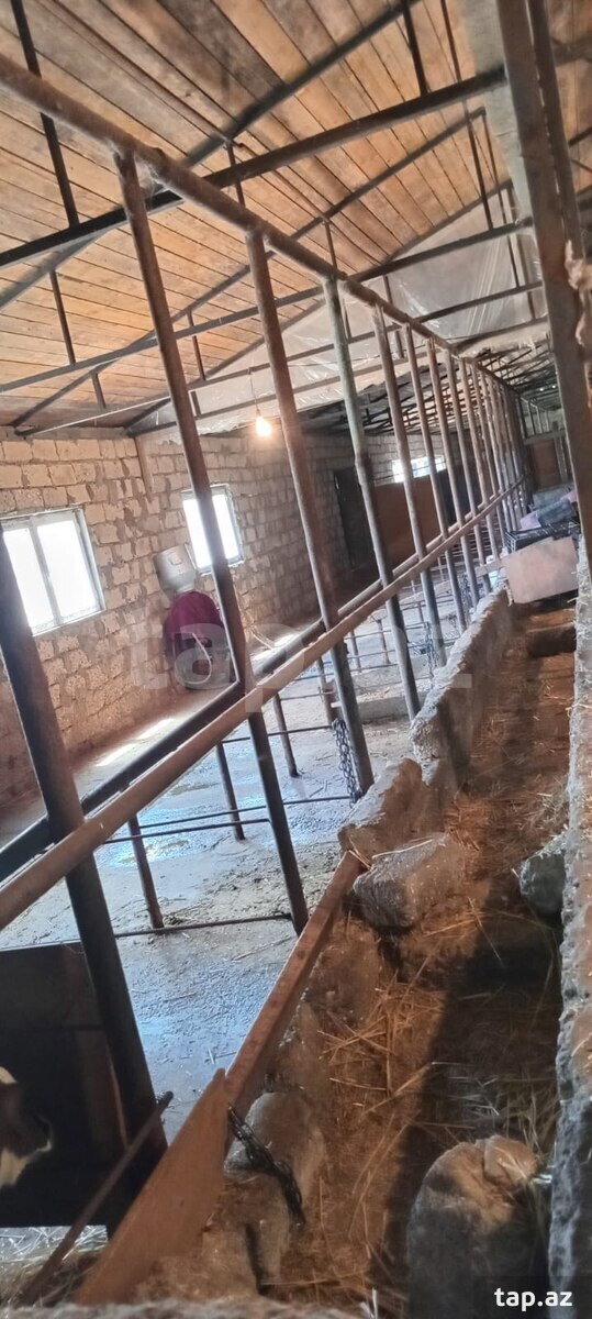 Obyekt, Maştağa qəs. (14)