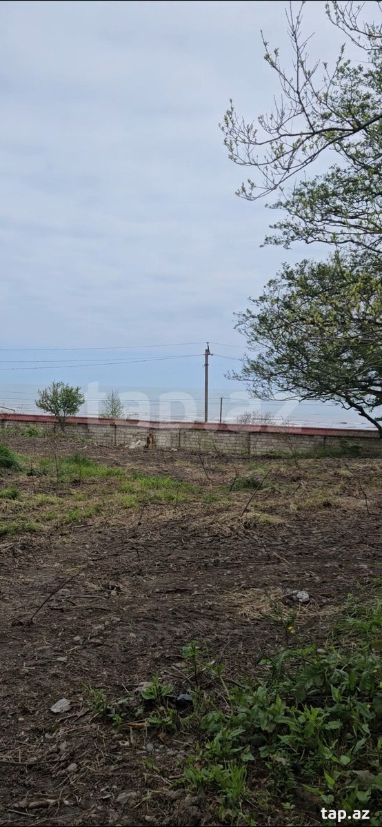 320 sot torpaq sahəsi, Nabran qəs. (11)