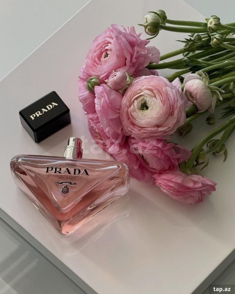Prada Paradoxe ətri