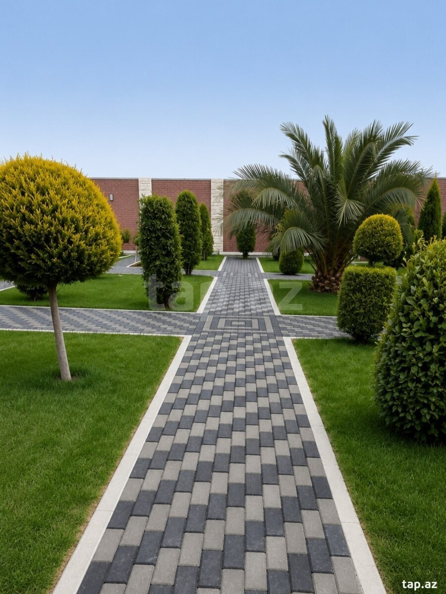 Tamet ustası (2)
