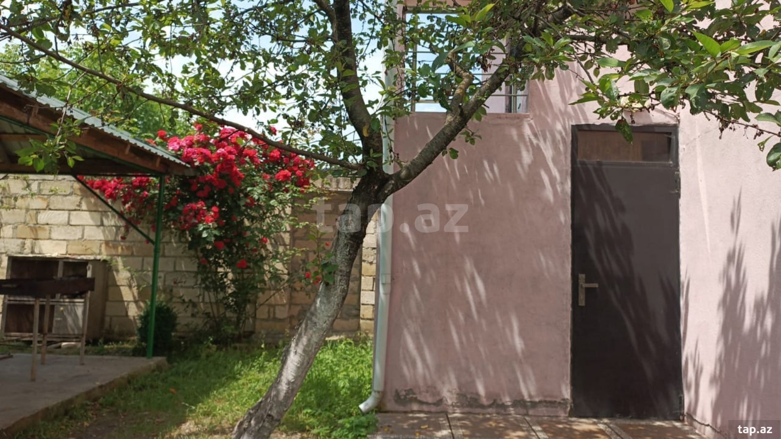 Bağ evi kirayə verilir, Quba ş. (5)