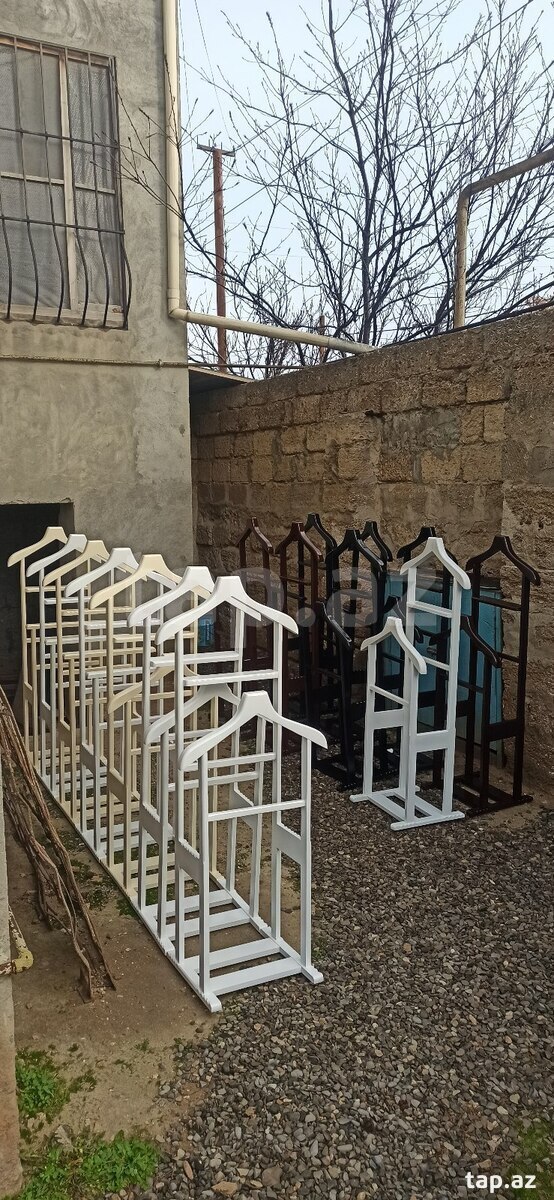 Asılqanlar (5)