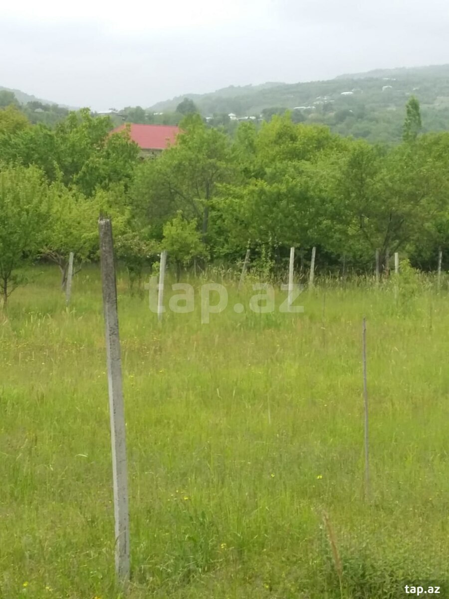 50 sot torpaq sahəsi, İsmayıllı r. (3)