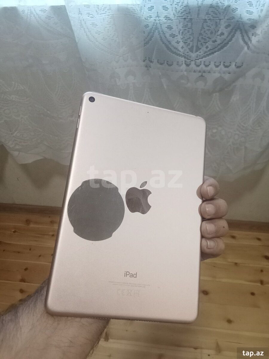 Apple iPad mini 5 (2)