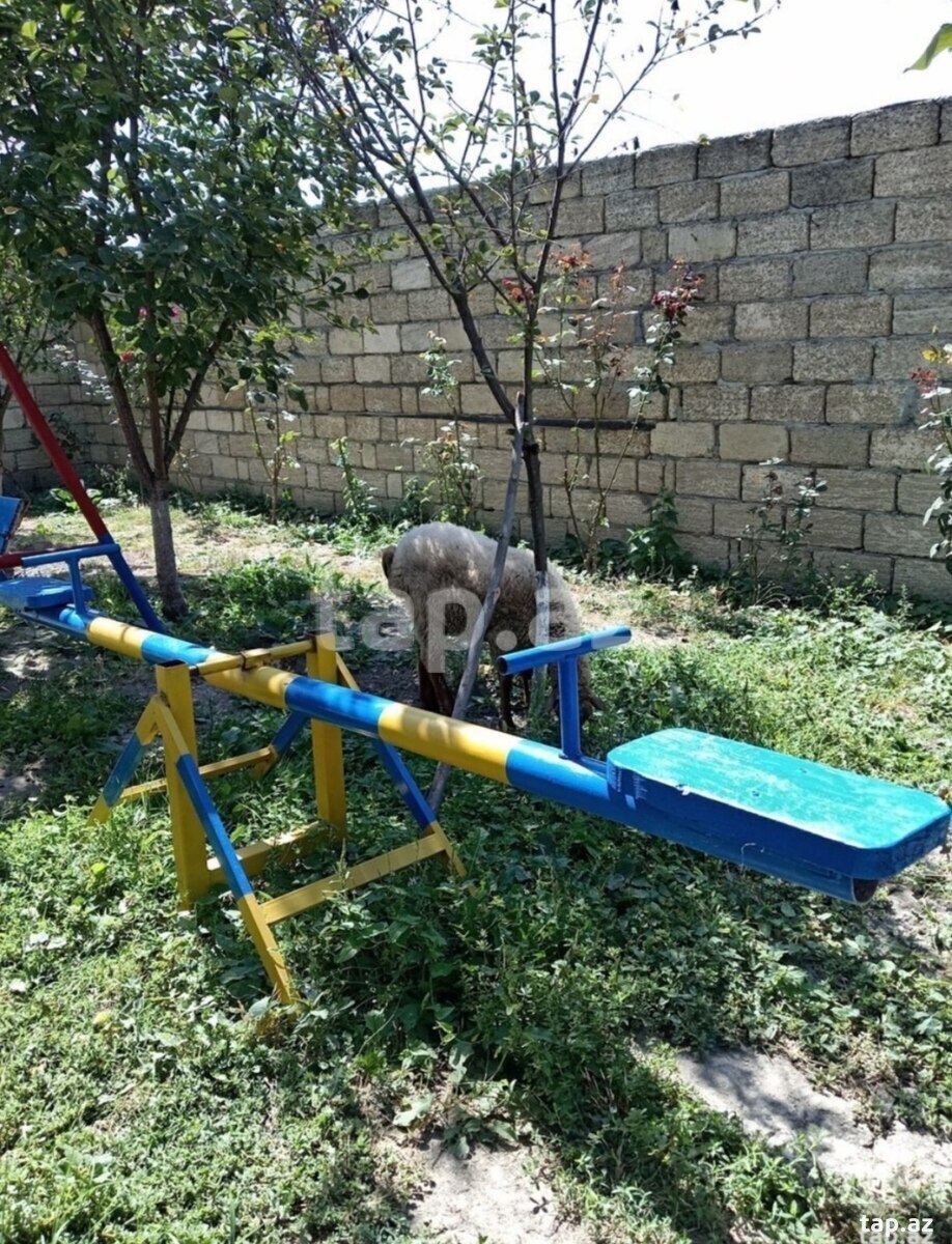 Bağ evi kirayə verilir, İsmayıllı r. (11)