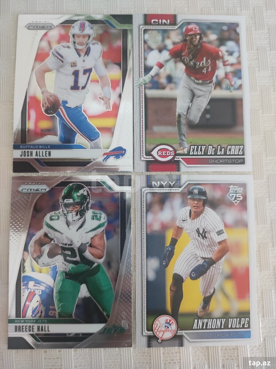 Panini baseball kartları