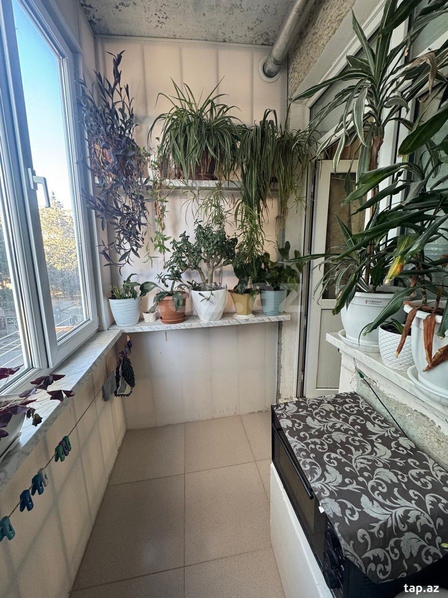 2-otaqlı mənzil kirayə verilir, Memar Əcəmi m., 64 m² (8)