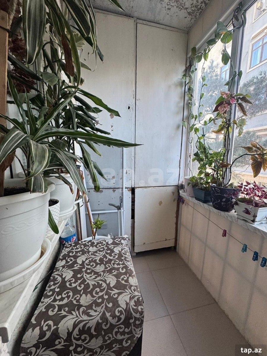 2-otaqlı mənzil kirayə verilir, Memar Əcəmi m., 64 m² (7)