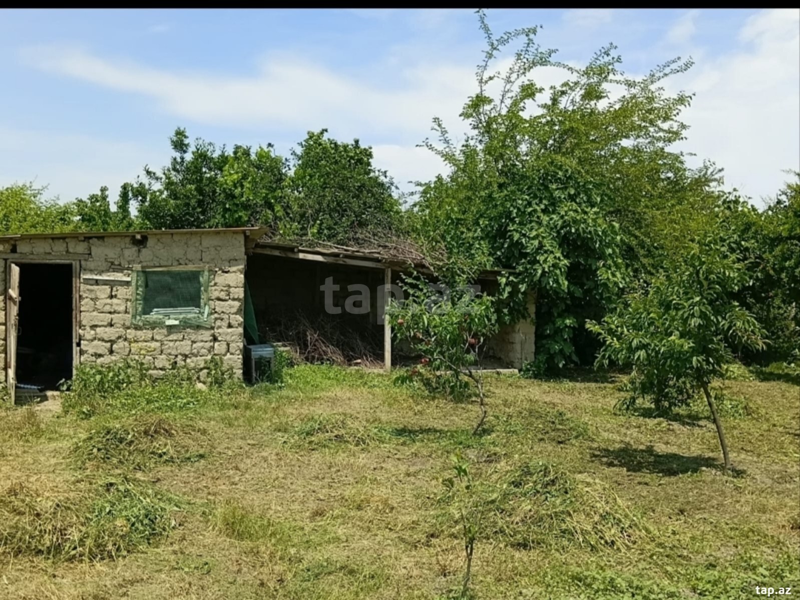 Həyət evi, Ağalıq kəndi